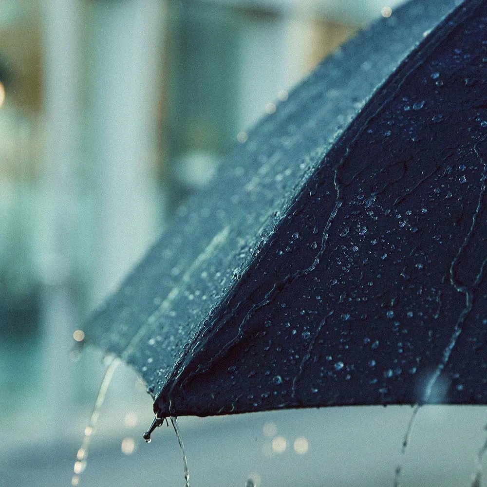 widex-moment_umbrella_1000x1000