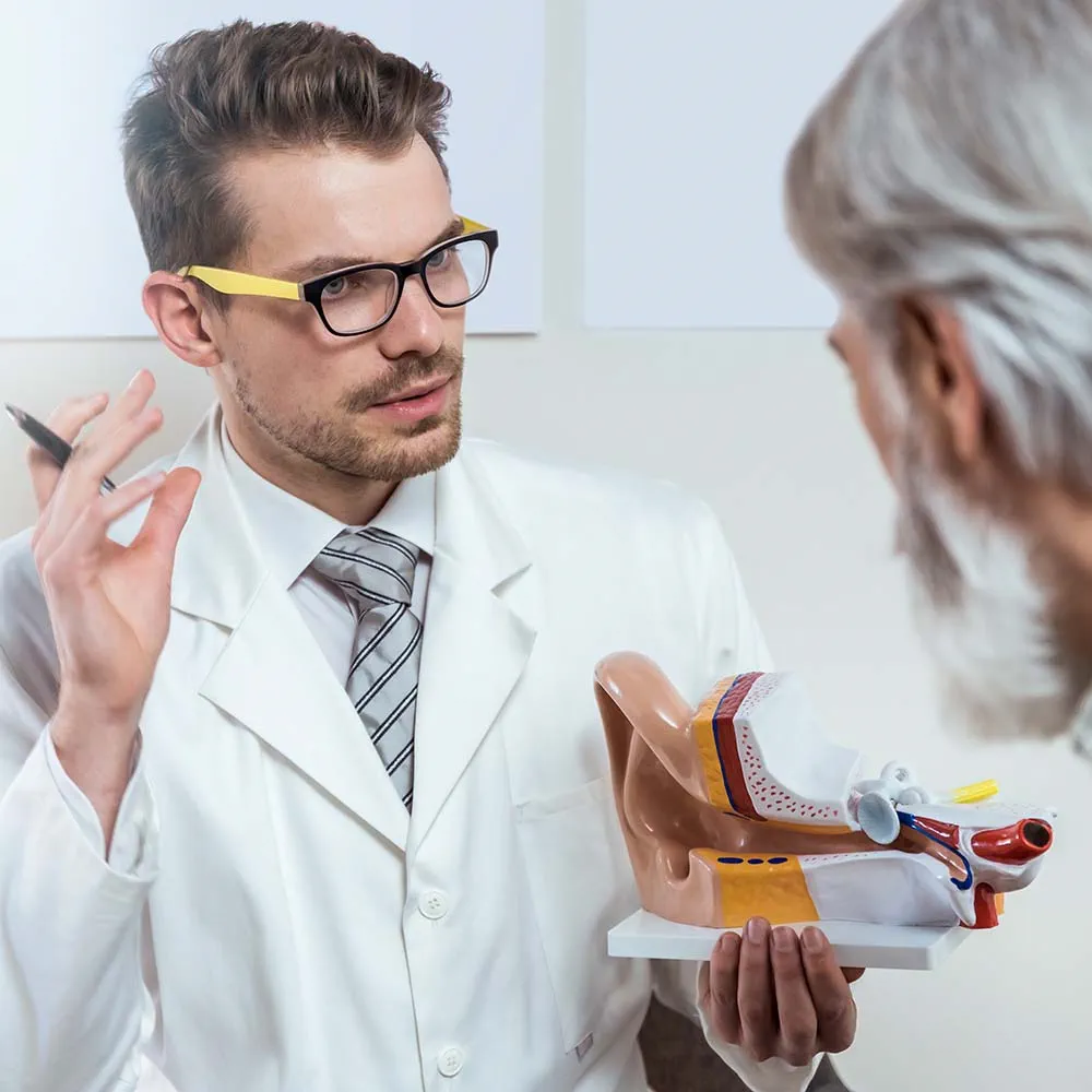 Hearing care professional explaining the human ear