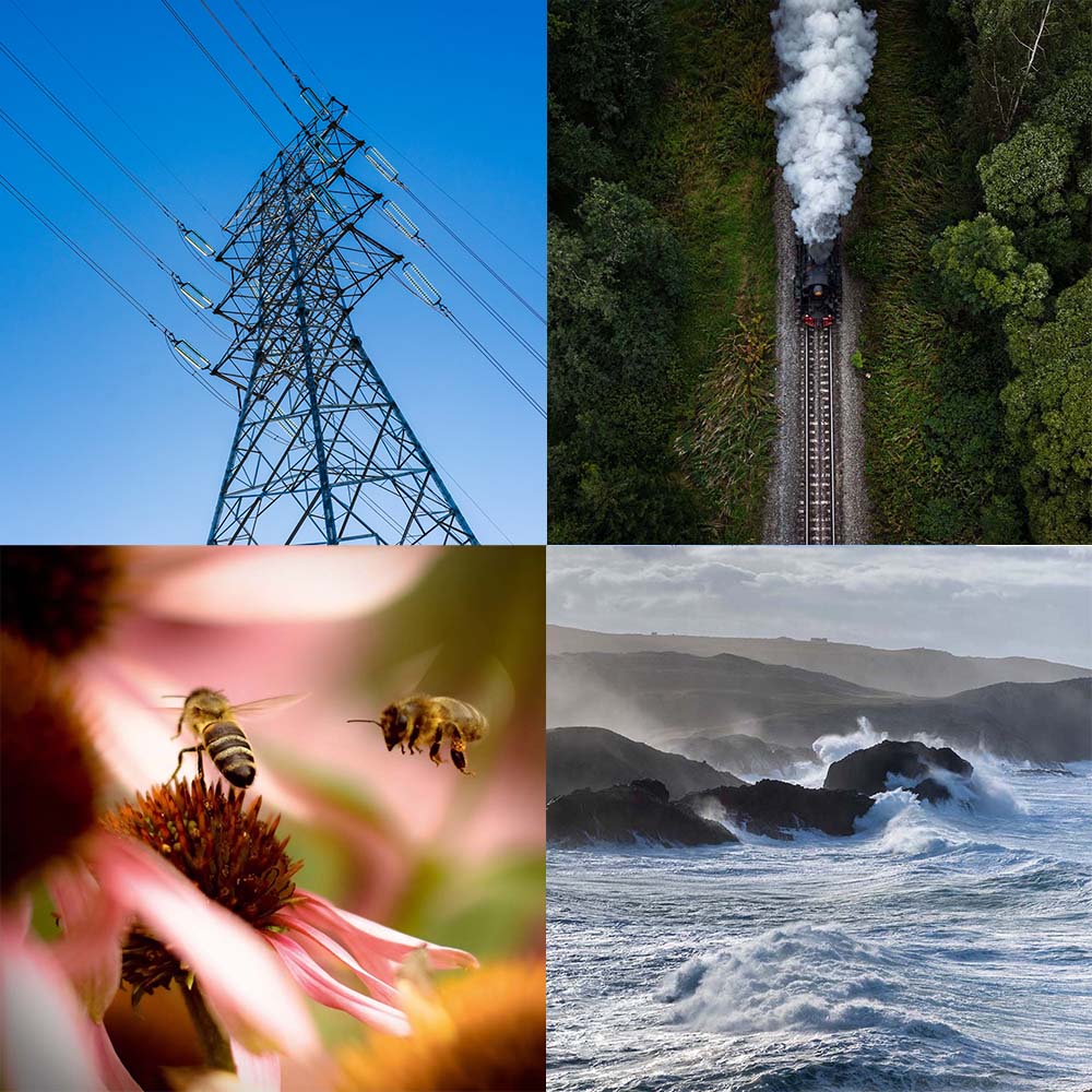 Visualization how tinnitus can sound: high tension wire, steam engine, buzzing bees, crashing waves