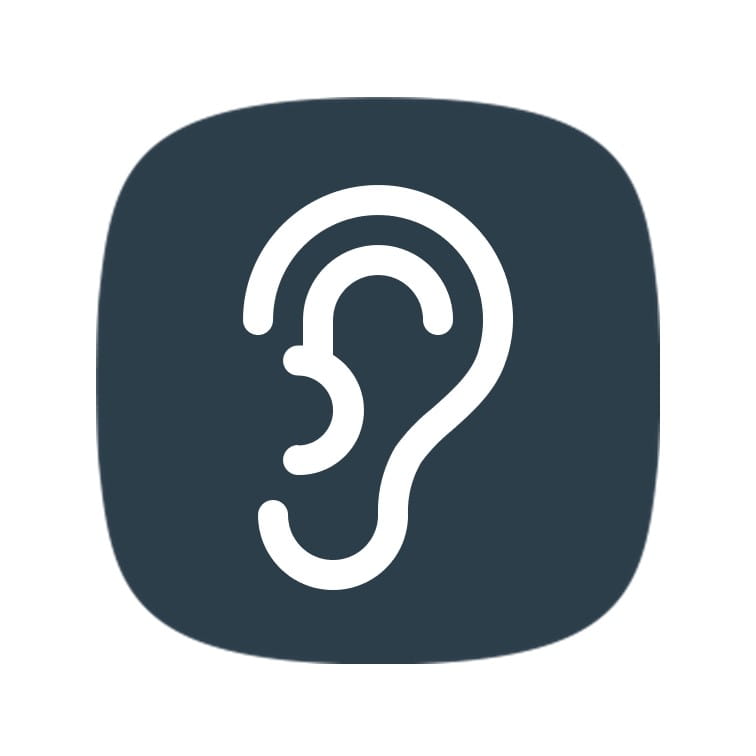 hearing_check_icon